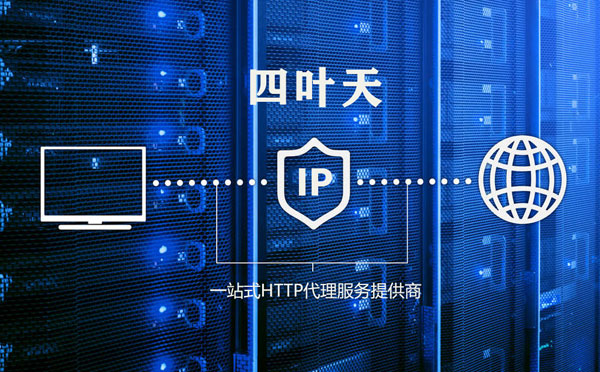 【恩施代理IP】代理IP的主要用途和使用注意事项